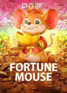 bdt hgzy